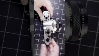 Lomography Earl Grey Film in Winter | Frozen Field Test