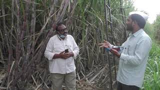 Welcome to Karnataka Mr Sanjeev mane world “s highest sugarcane Grower