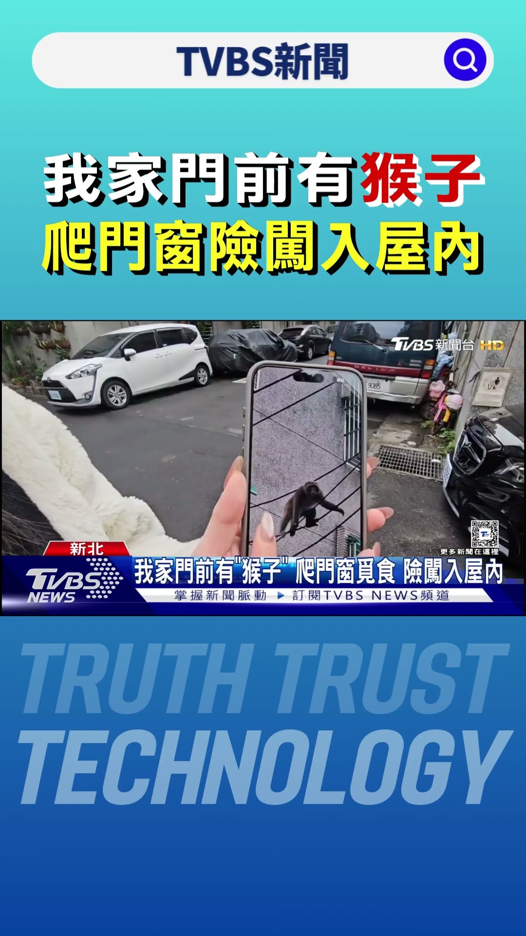 我家門前有「猴子」 爬門窗險闖入屋內｜TVBS新聞 @TVBSNEWS01