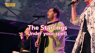 Vlaanderen Muziekland: The Starlings - Under Your Spell
