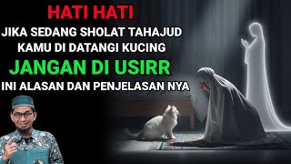HATI HATI❗JIKA SEDANG SHOLAT TAHAJUD DI DATANGI KUCING, HAL INI YANG AKAN KAMU DAPATKAN