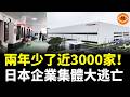日本企業大逃亡！兩年少了2916家，本田、三菱、佳能接連撤退，日本企業為何突然不玩了？