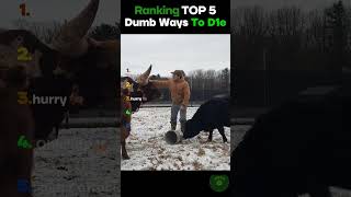 Ranking Worst Dumb Ways To Die For Animals P3 😱🦬🐶 Net Worth