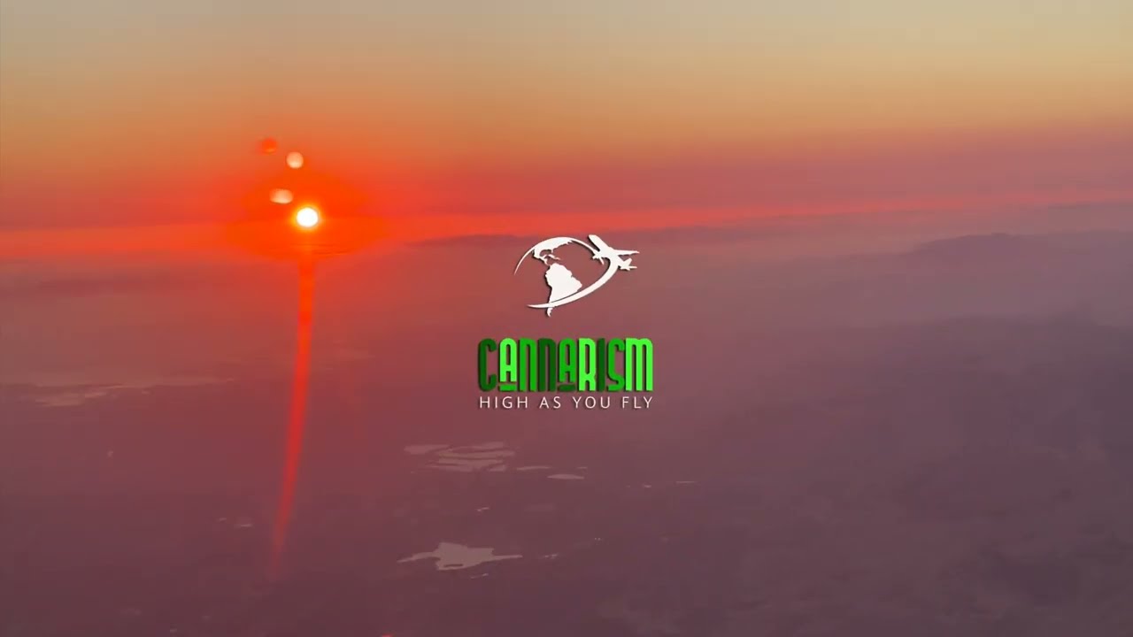 Successful Stoner Society: Cannarism Episode 1