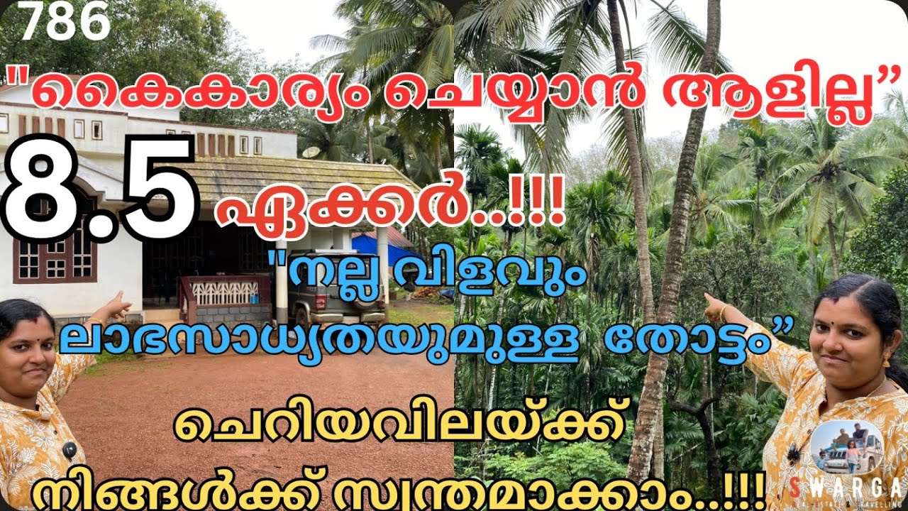 786: ഇത് നോക്കൂ.!!! 