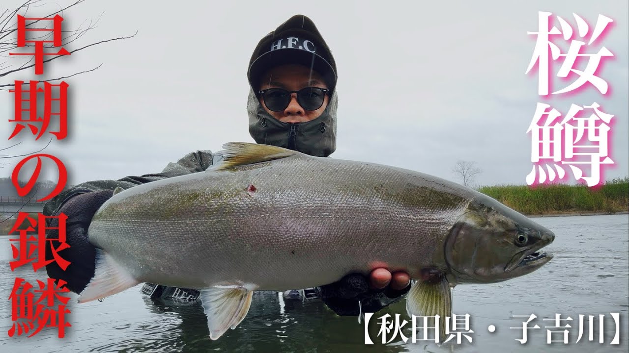 2026/04 [Cherry Salmon] [62cm, NAMUSAN, 17g] Koyoshigawa Cherry