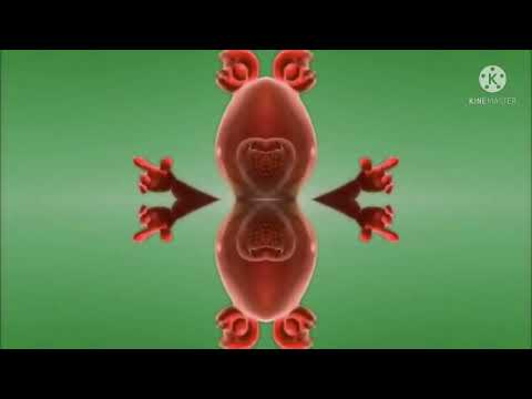 Gummy Bear Song Finnish In Cot Major
