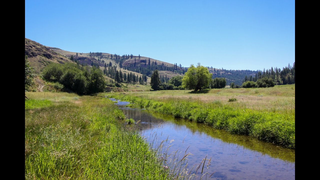 **SOLD** Hawk CreekNear Lake Roosevelt, Washington YouTube