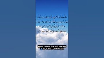 سورة البقرة 🫀#سورة_البقرة #ختم_القران #تلاوة_خاشعة #قران_كريم #السعودية #مصر #الخليج #هداية