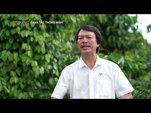 Canh Tác Thông Minh | Vì Sao Cần Thay Đổi Thói Quen Rải Phân Chờ Mưa? 🌧️