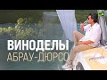 Абрау-Дюрсо. Производство вина и туристический маршрут