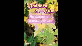 #доброгодня #осень #пожеланиедлядрузей #музыкальнаяоткрытка #открытка #листья