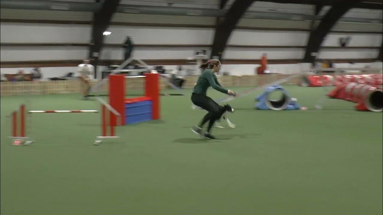 Gold Rush Competition 2022 / Naarah Cuddy with Lemon 3rd Large