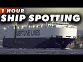 Bosphorus stream w relax music  ship spotting 5
