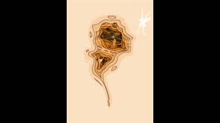 Self-portrait Animation