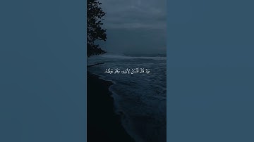 تلاوة من القرآن الكريم بصوت الشيخ محمد صديق المنشاوي - رحمه الله | سورة لقمان آية رقم ١٤ |