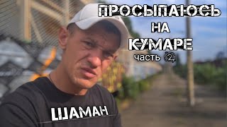 Шаман! Просыпаюсь на кумаре! Кот