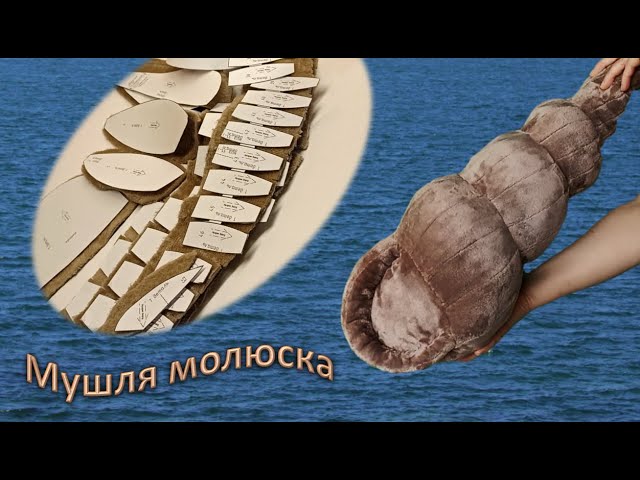 Декоративна подушка своїми руками. Морська мушля з тканини. Shell DIY.