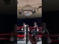 DOUBLE TAP KNOCKOUT