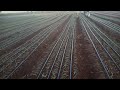 How to install driplines for onion planting