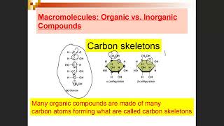 BIOL 2420 Chapter 2 The Molecules of Life