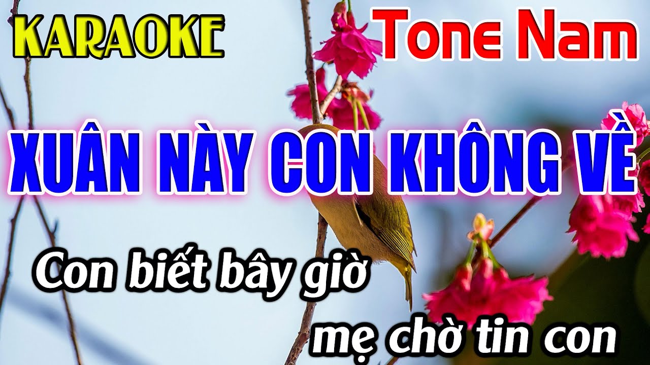 Xuân Này Con Không Về Karaoke Tone Nam ( D ) Karaoke Dễ Hát - Beat Mới