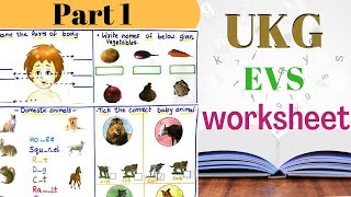 ukg evs worksheet part 1 evs worksheet for ukg ukg evs syllabus evs worksheet youtube