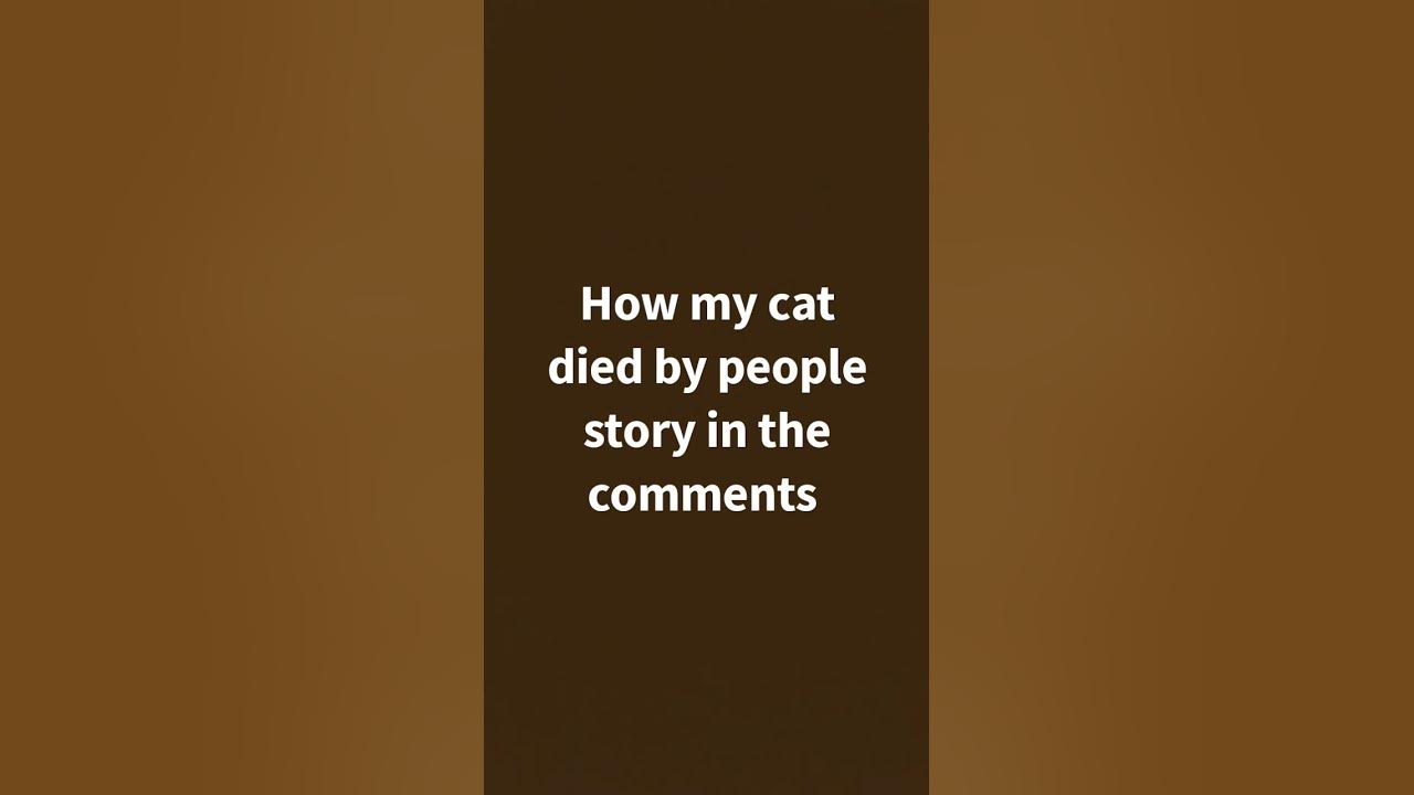 how-my-cat-died-youtube