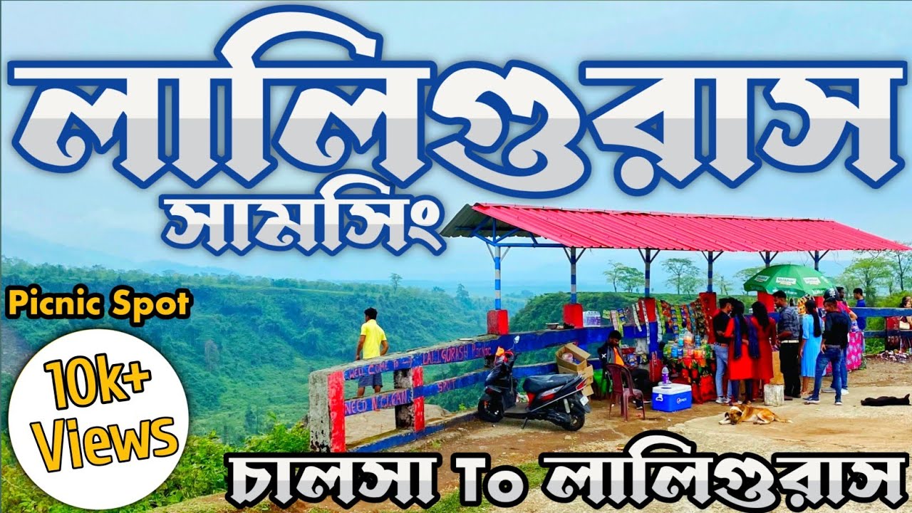 Laliguras || Samsing || Laliguras View Point || Samsing View Point ||Chalsa To Laliguras