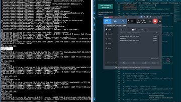 using python scrapy and rotation proxy/ip