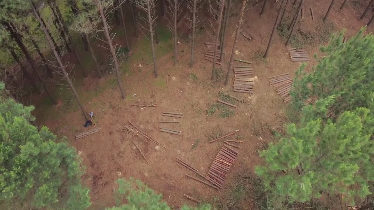 BANCA DA CARROÇA - LAGES - SC, nos caminhos de Palmeira e Otacílio Costa