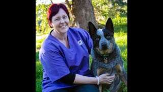 Pet Eden Tafe Student presentation   How to Prepare for a Euthanasia in a Vet Clinic