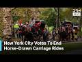 New York City Votes To Ban Horse-Drawn Carriages From June 2028 After Tourist&rsquo;s Death | AM1D