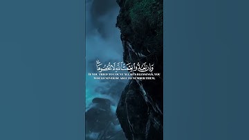 تلاوة هادئة تريح القلب  ❤️ #قران_كريم #قرآن #تلاوة_خاشعة #quran #تلاوة_هادئة #القرآن_الكريم #تلاوة