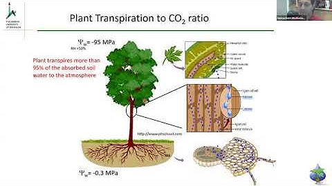 Dr. Menachem Moshelion - Functional Phenotyping of Plant Response to Abiotic Stress