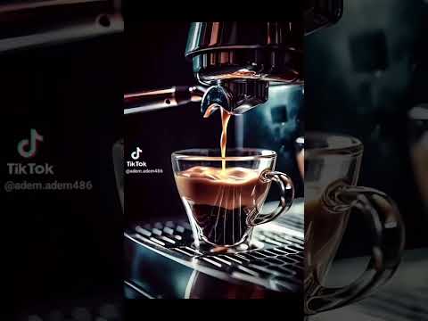 يا حبت البن أرضك فين فين فناجيلك اكسبلور  حالات واتس