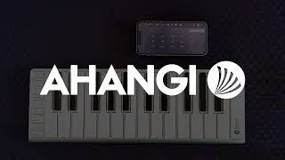Rangiin as AUv3 plugin in GarageBand on iOS