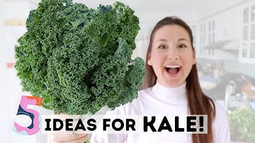 What to do with ALL THAT KALE? 5 Ideas for Using it Up + Health Benefits of KALE!