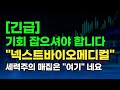 [제약/바이오] 넥스트바이오메디컬, 세력의 위치? FDA 임상시험계획 승인 #넥스트바이오메디컬 #넥스트바이오메디컬전망 #제약 #바이오