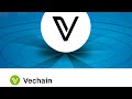 Vechain tutorial everything you need to know