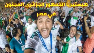 ALGERIE VS SENEGAL 🏆 فرحة هستيرية للجمهور #الجزائري في #مصر