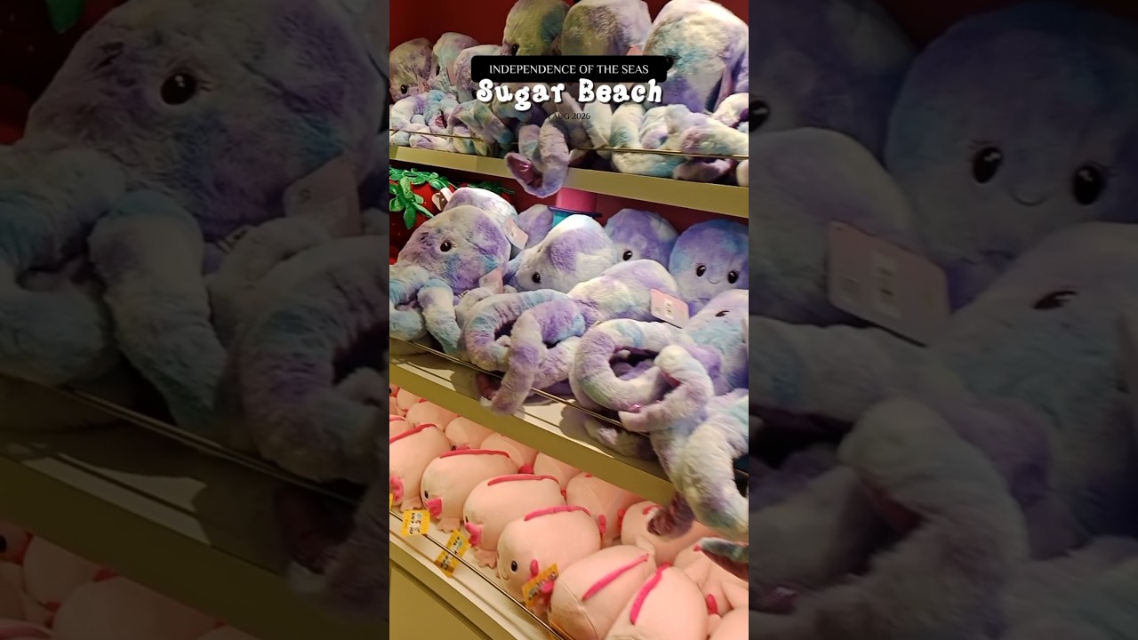 SUGAR BEACH-INDI OTS🛳️Choices from chocolates candies gummies to stuff toys🍭 #independenceoftheseas