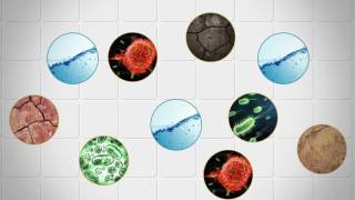 Aqueous Ozone From Cleancore Technologies