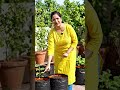 Ghar Ki Chhat Par Dry Fruits Kaise Ugaye? 🥜🌱 #shortsTerrace Gardening Me Dry Fruits Ugane Ka Tarika
