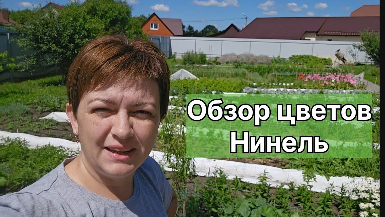 Цветы и зелень для букетов