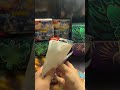 Stellar Crown RIPS until we get a SQUIRTLE OR BULBASAUR! #shorts #pokemontcg #pokemoncards #pokemon