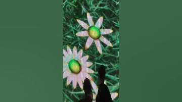 dance floor interactive screen