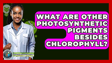 What Are Other Photosynthetic Pigments Besides Chlorophyll? - Earth Science Answers