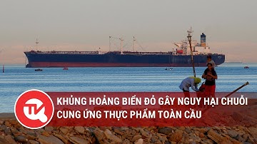 Khủng hoảng Biển Đỏ gây nguy hại chuỗi cung ứng thực phẩm toàn cầu | Truyền hình Quốc hội Việt Nam