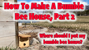 How to make a bumble bee house, Part 2: where do I put it?